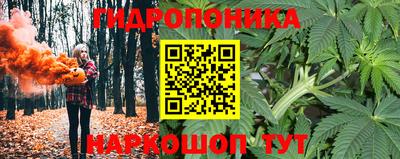 гашик Краснодар