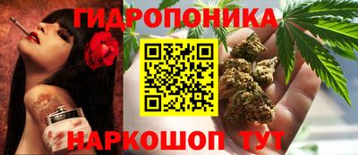 гашик Краснодар