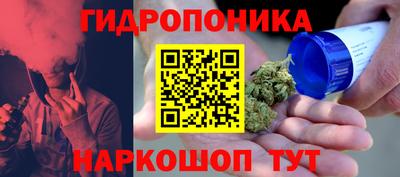 гашик Краснодар