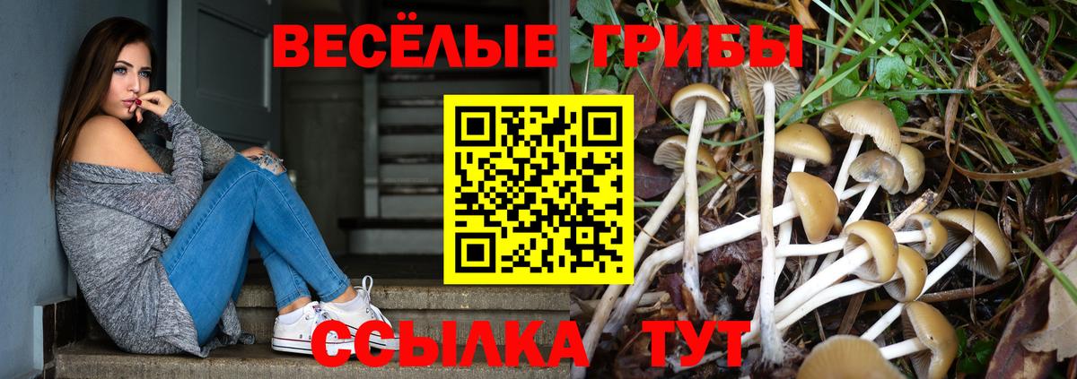 Псилоцибиновые грибы прущие грибы Кировск