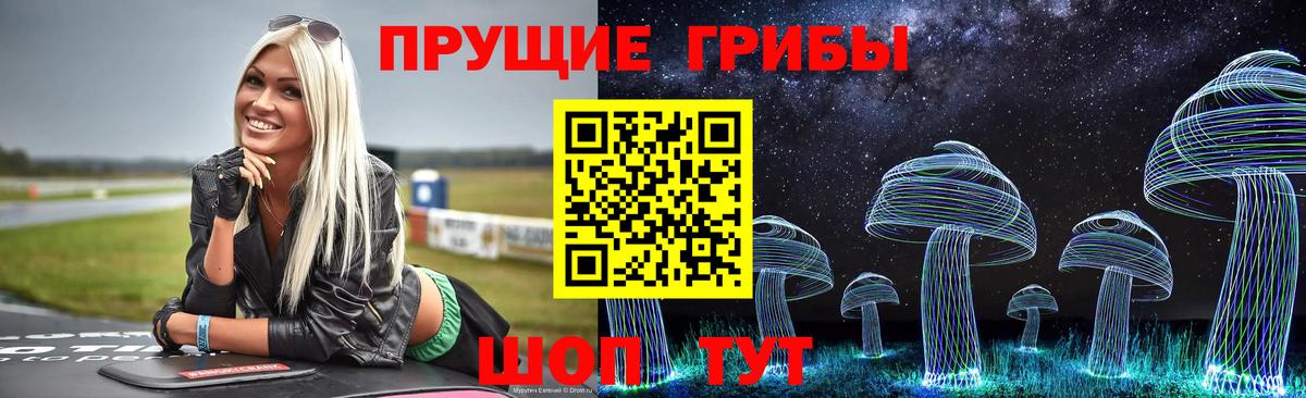 Кировск  Галлюциногенные грибы ЛСД  Вход с VPN  Псилоцибиновые грибы ЛСД 