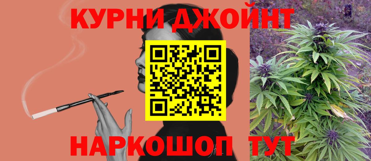Шишки марихуана семена  Канабис план  Марихуана Bruce Banner  Кировск  Марихуана тримм  Вход с VPN 